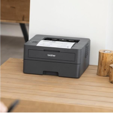 IMPRIMANTE LASER BROTHER HLL2400DWE NOIRE 250 FEUILLES USB 2.0 RECTO-VERSO