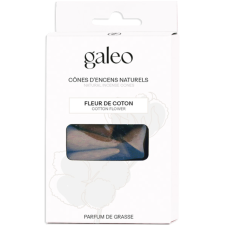 POCHETTE 10 CONES ENCENS FLEUR COTON