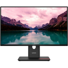 ECRAN LENOVO THINKVISION T24-40 23.8POUCES 120HZ IPS DISPLAYPORT