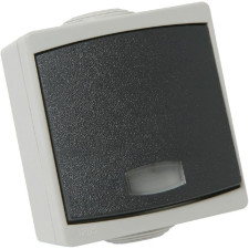 BOUTON POUSSOIR DEBFLEX 730170 AVEC VOYANT PERLE IP65 GRIS