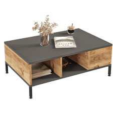 TABLE BASSE RL2 AA GRIS ET BOIS
