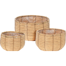 LOT DE 3 CACHES-POTS EN ROTINS VERNIS