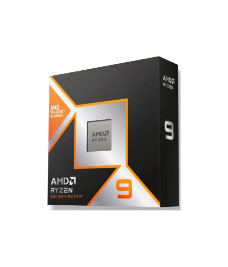 PROCESSEUR AMD RYZEN 9 9900X3D
