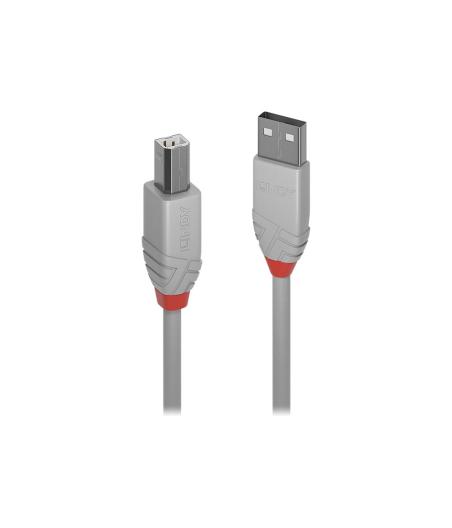 CÂBLE LINDY (36683) - 2M - USB A POUR TYPE B - GRIS