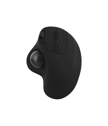 CLAVIER ET SOURIS TNB ERGO DUAL CONNECT ERGONOMIC MOUSE