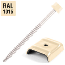 PACK DE VIS AUTOPERCEUSE BAC ACIER POUR CHARPENTE BOIS BEIGE