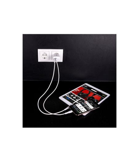 CHARGEUR TELEPHONE LINDY 20W USB TYPE A & C CHARGER