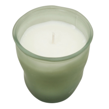 BOUGIE SENTEUR JASMIN GIVRI VERT