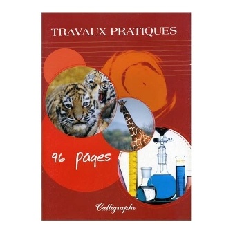 CAHIER GRANDS CARREAUX 96 PAGES 210x297 CONQUERANT REL. AGRAFE