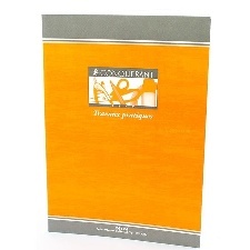 CAHIER GRANDS CARREAUX 48 PAGES 210x297 CONQUERANT REL. AGRAFE