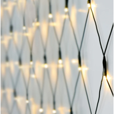 FILET LUMINEUX BLANC CHAUD 160 LED  2X1METRE IP44