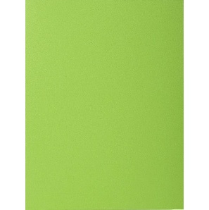 SOUS CHEMISE BAHIA 80 PAQUET DE 100 ROCKS MENTHE