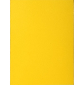 SOUS CHEMISE BAHIA 80 PAQUET DE 100 ROCKS SOLEIL