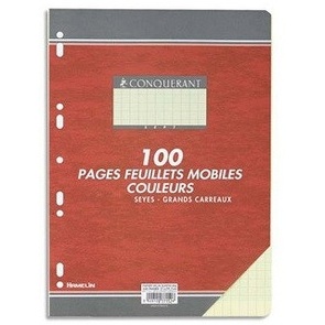 COPIES SIMPLES GRANDS CARREAUX FORMAT 210*297 100 PAGES  80G COULEUR JAUNE SEYES CONQURRANT SEPT