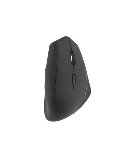 SOURIS ERGONIMOQUE TNB ERGO - SANS FIL ERGONOMIQUE