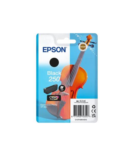 CONSOMMABLES JET D'ENCRE SGLPACK BK 250 INK
