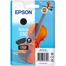 CARTOUCHE D'ENCRE EPSON 250 NOIR 5.3ML BLISTER