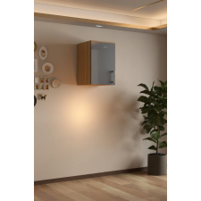 MEUBLE HAUT 1 PORTE SELENA AMM-SL1T-B FINITION BOIS ET FACADE GRIS BRILLANT