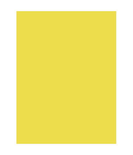 PAQUET 25F AFFICHE PEINTE 60X80CM SOUS FILM JAUNE CITRON