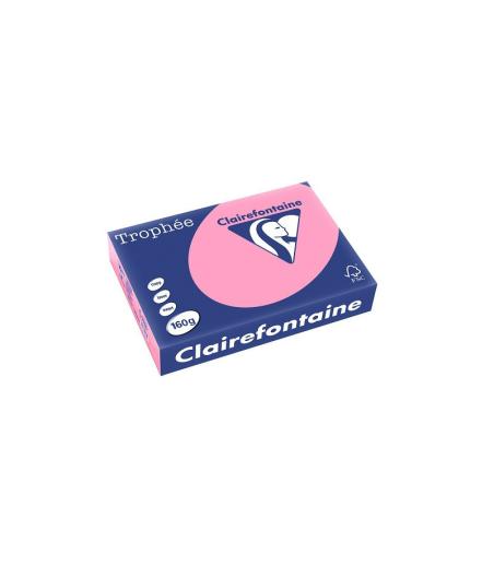 A4 EGLANTINE 160G/M2 FSC 250 FEUILLES