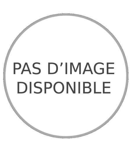 BASALT240