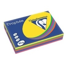 PAPIER COULEUR CLAIREFONTAINE 210*297 MM (GRAND FORMAT) 80G 500 FEUILLES