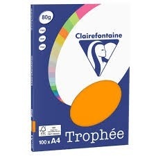 PAPIER A4 ASSORTIE PASTEL 80G-M2 FSC 100 FEUILLES