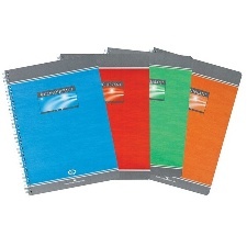 CAHIER PETITS CARREAUX 100 PAGES 210x297 REL. INTEGRALE