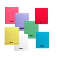 CAHIER GRANDS CARREAUX 140 PAGES 170X220 POLYPRO COUL- ASS