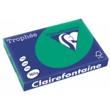 RAMETTE A3 VERT SAPIN CLAIREFONTAINE 160G 250 FEUILLES