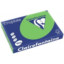 RAMETTE A3 VERT MENTHE CLAIREFONTAINE 160G 250 FEUILLES