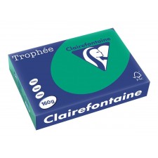 RAMETTE A4 CLAIREFONTAINE VERT SAPIN 160G 250 FEUILLES