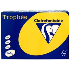 RAMETTE A4 CLAIREFONTAINE TOURNESOL 160G 250 FEUILLES