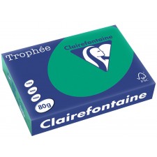 RAMETTE A4 VERT SAPIN 80G 500 FEUILLES