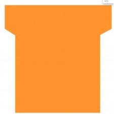 FICHES PLANNING EN T UNICOLORES- ETUI DE 100 FICHES ORANGE