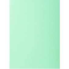 SOUS-CHEMISES SUPER EXACOMPTA LOT DE 100 VERT