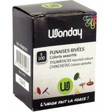 BOITE DE 100 PUNAISES LAITONNEES CAPOT PLASTIQUE COULEURS