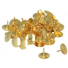 BOITE DE 100 PUNAISES LAITONNEES