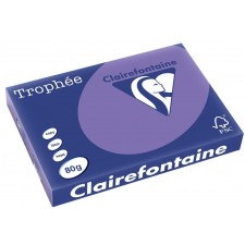 RAMETTE A3 VIOLINE 80G  500 FEUILLES