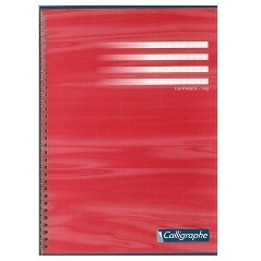 CAHIER GRANDS CARREAUX 100 PAGES 210x297 CLAIREFONTAINE 