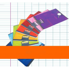 CAHIER CALLIGRAPHE 17X22 48P GRANDS CARREAUX SEYES 90G