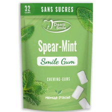 DENTI SMILE 32 CHEWING GUMS MENTHE FRAICHE