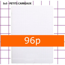 CAHIER PETITS CARREAUX 96 PAGES 240X320 POLYPRO INCOLORE CALLIGRAPHE