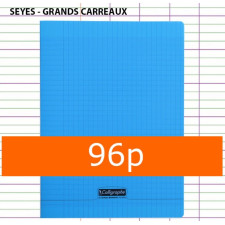 CAHIER GRANDS CARREAUX 96 PAGES 240X320 POLYPRO BLEU CALLIGRAPHE