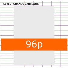 CAHIER GRANDS CARREAUX 96 PAGES 170X220 POLYPRO INCOLORE CALLIGRAPHE